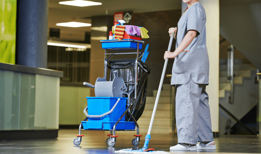 Lil D's Cleaning Services